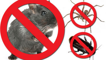 Why Is Pest Control Important for Ecology and Health?