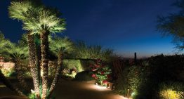 Things to Know Before Buying Landscape Lighting